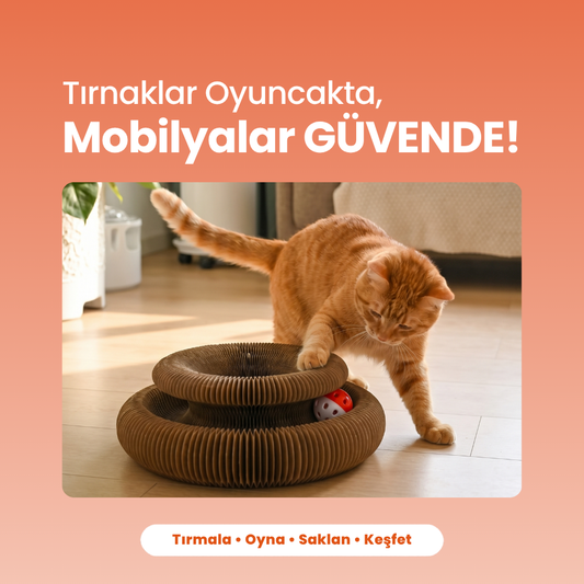 Luvizoo Akordiyon Kedi Tırmalama Oyuncağı